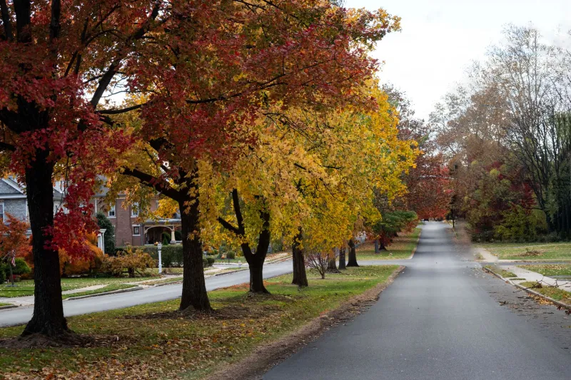 Go When Everyone Else Leaves: The Quiet-Season Strategy That's Changing How Nomads Move